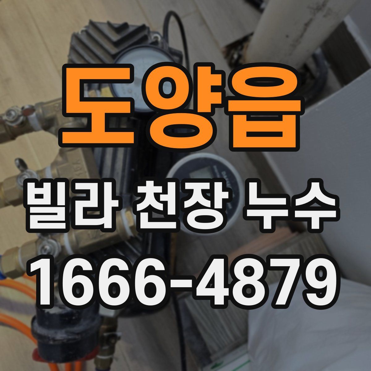 도양읍 빌라 천장 누수