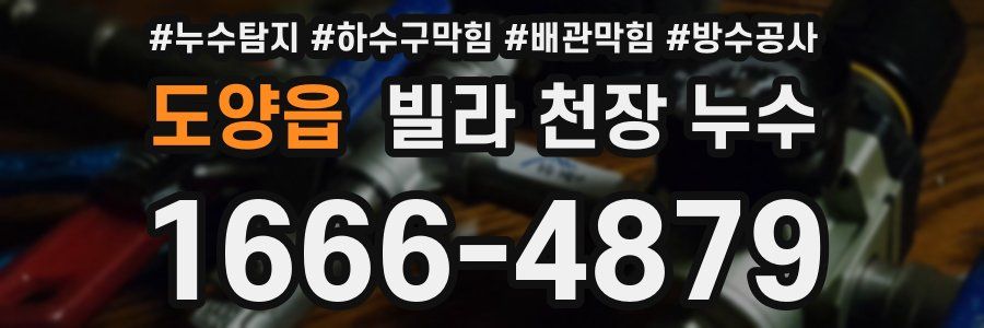 도양읍 빌라 천장 누수