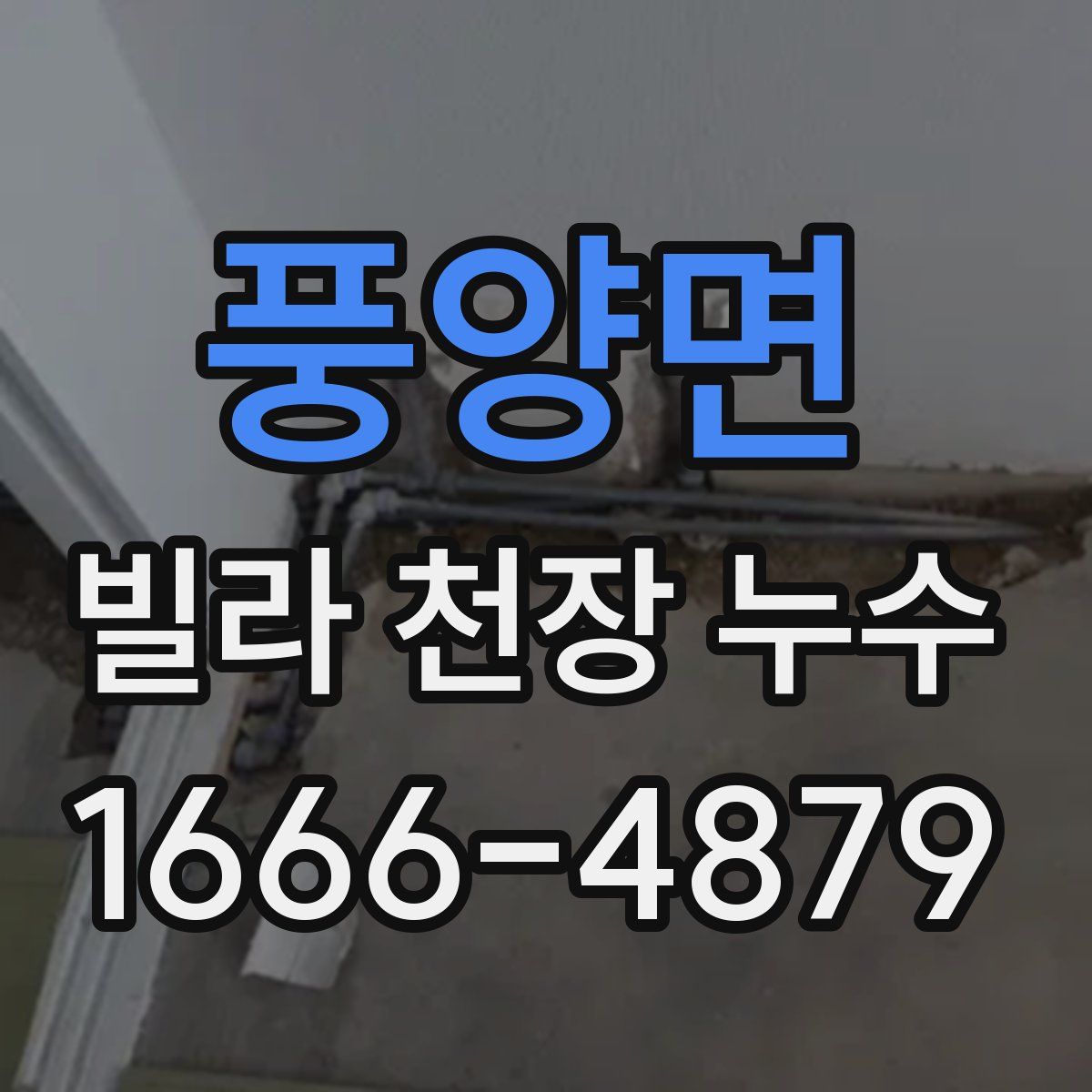 풍양면 빌라 천장 누수