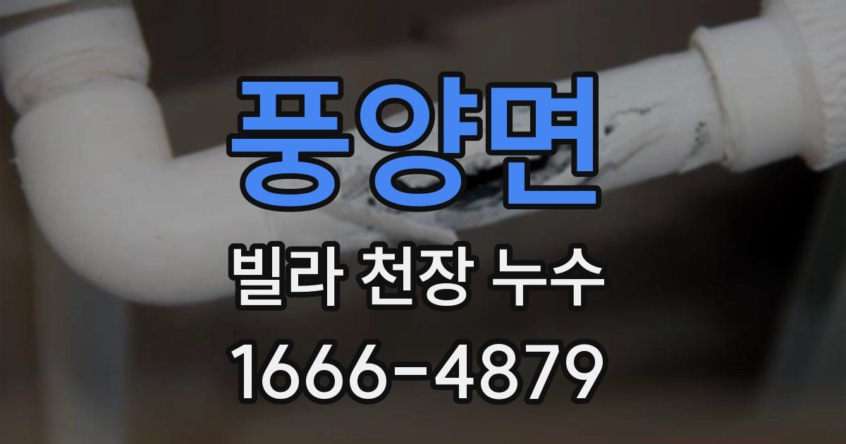 풍양면 빌라 천장 누수