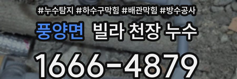 풍양면 빌라 천장 누수