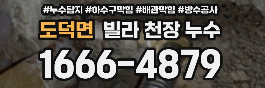 도덕면 빌라 천장 누수