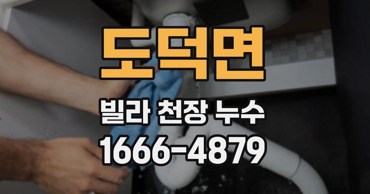 도덕면 빌라 천장 누수