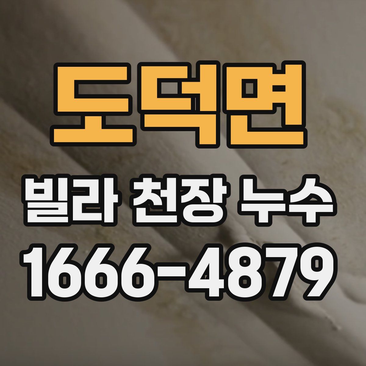 도덕면 빌라 천장 누수
