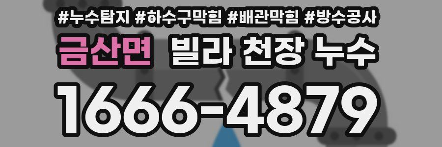 금산면 빌라 천장 누수