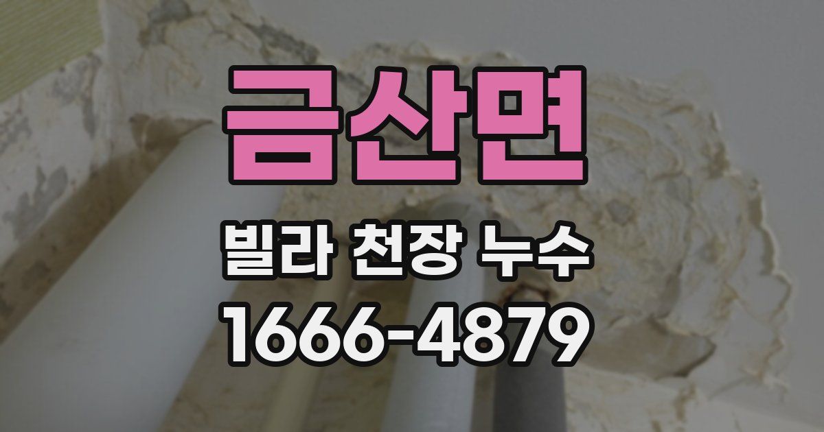 금산면 빌라 천장 누수