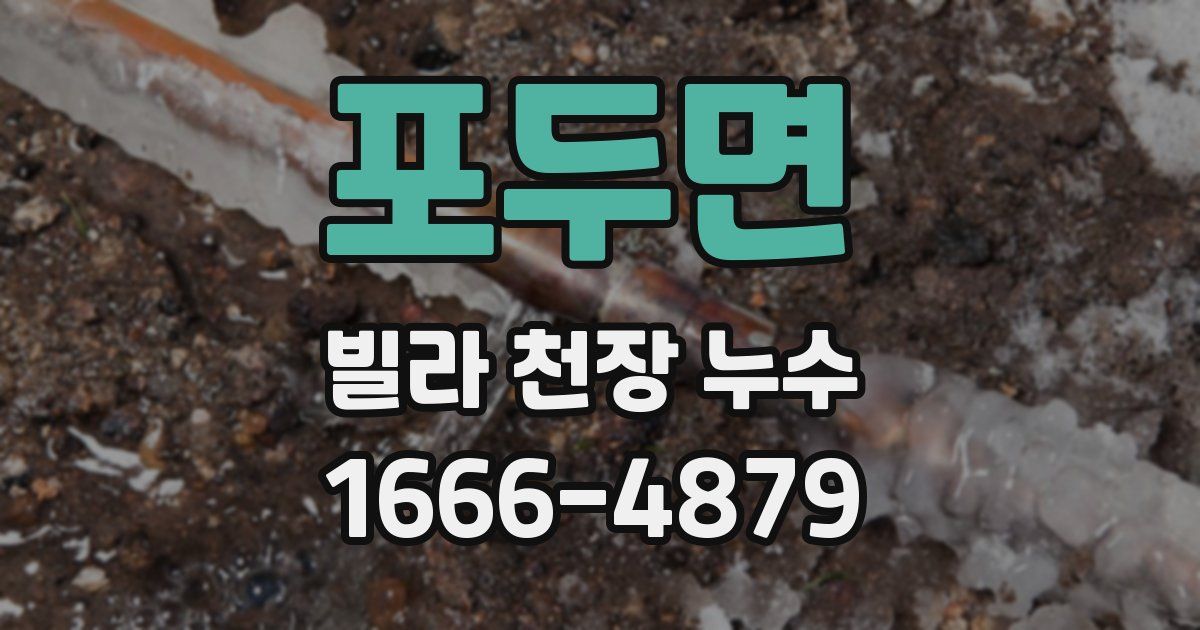 포두면 빌라 천장 누수