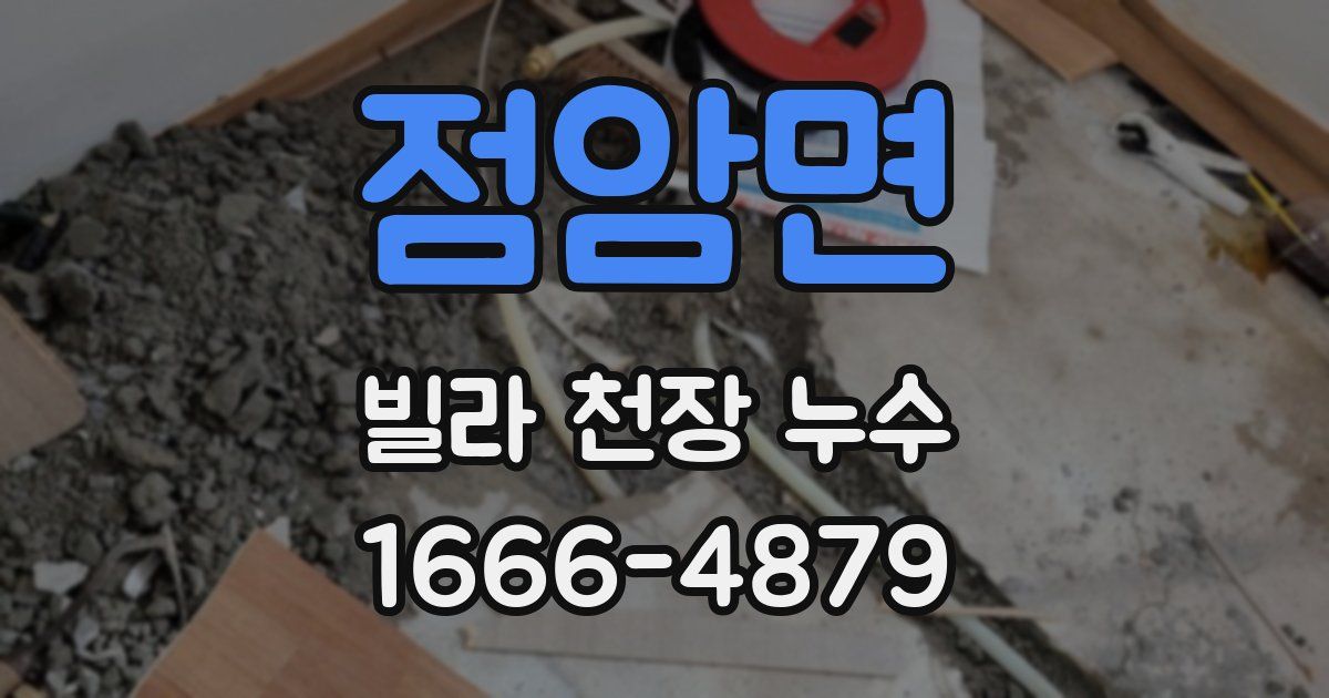 점암면 빌라 천장 누수