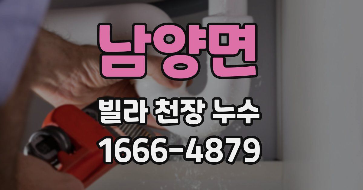 남양면 빌라 천장 누수