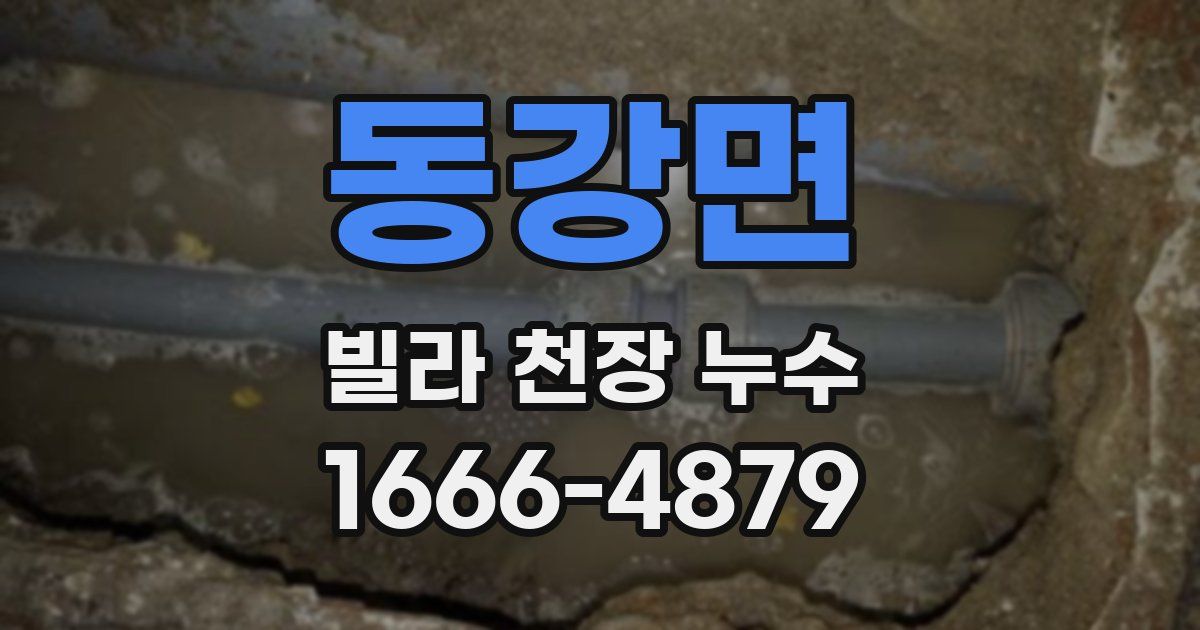 동강면 빌라 천장 누수