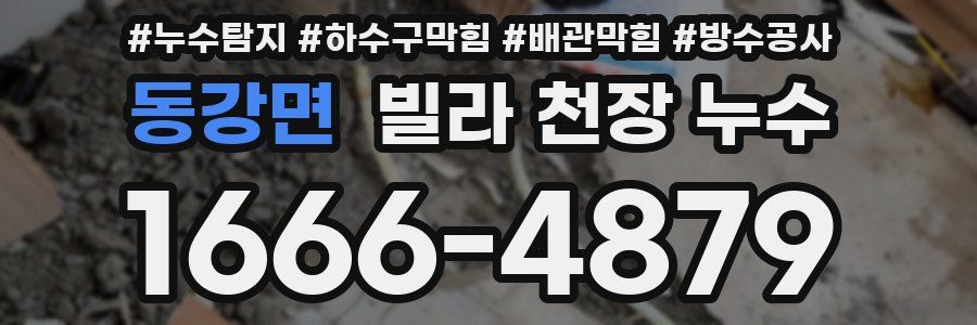 동강면 빌라 천장 누수
