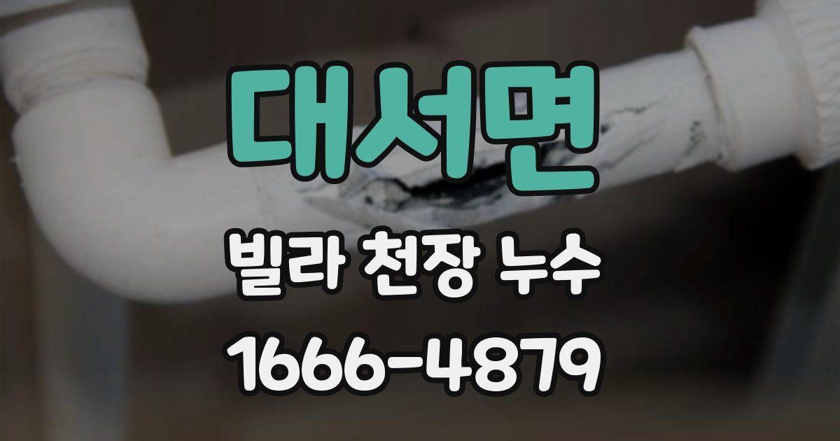 대서면 빌라 천장 누수