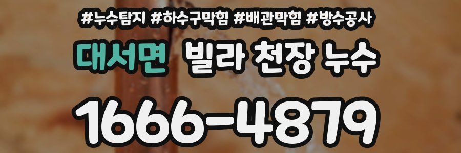 대서면 빌라 천장 누수