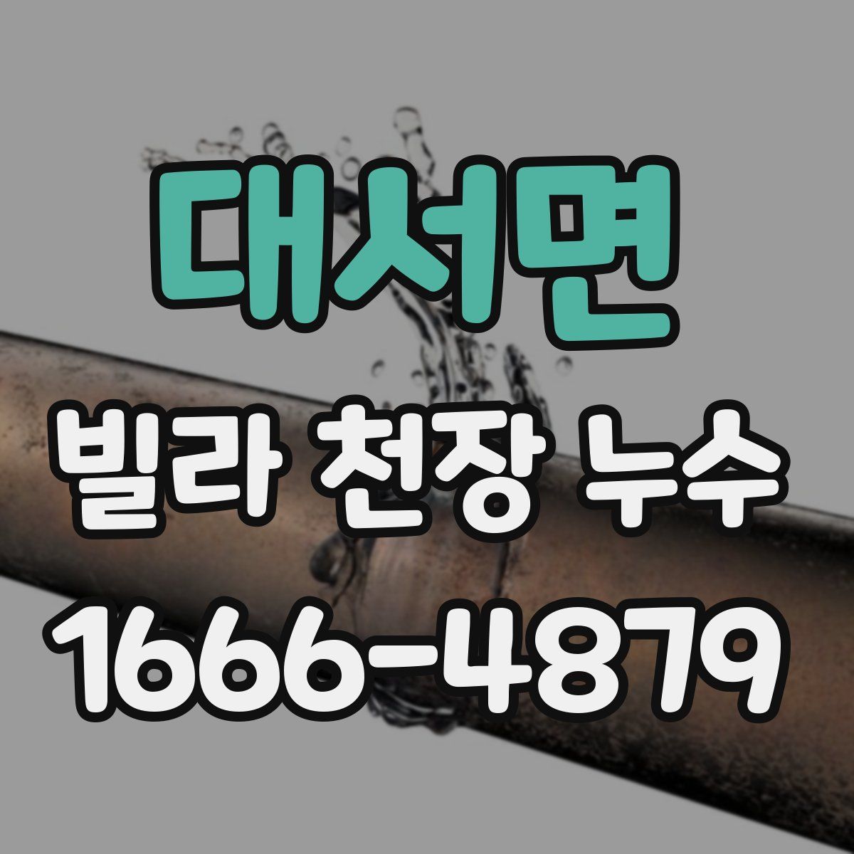 대서면 빌라 천장 누수