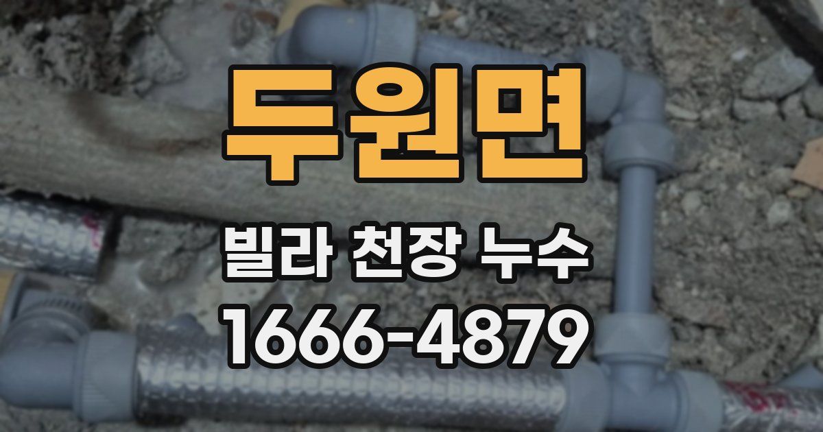 두원면 빌라 천장 누수