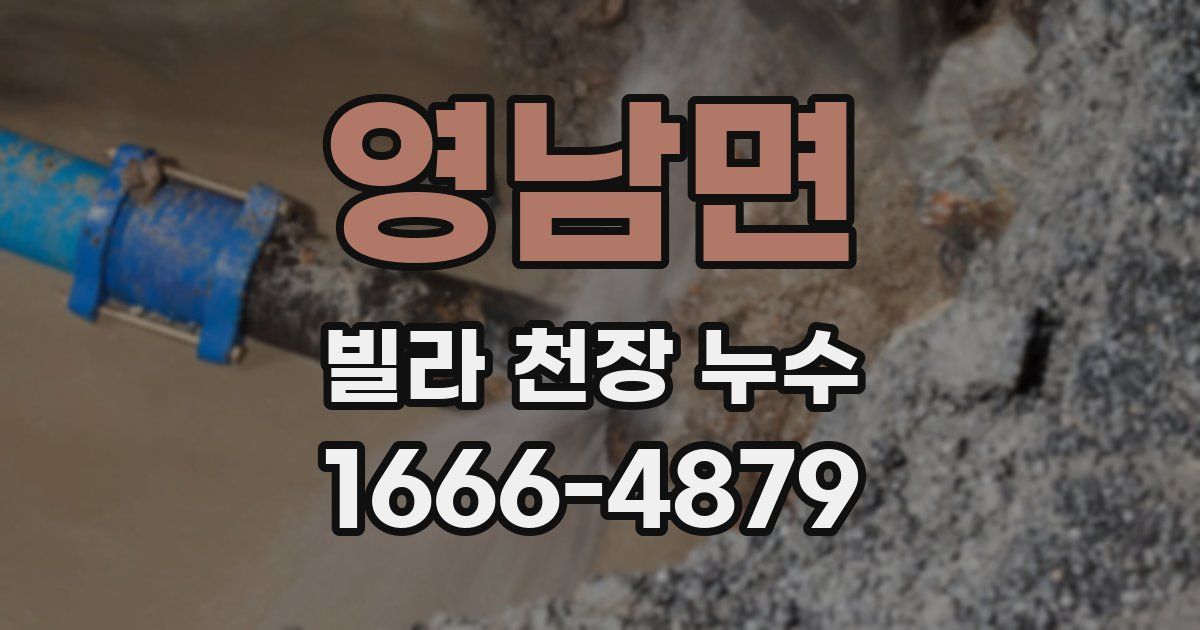 영남면 빌라 천장 누수