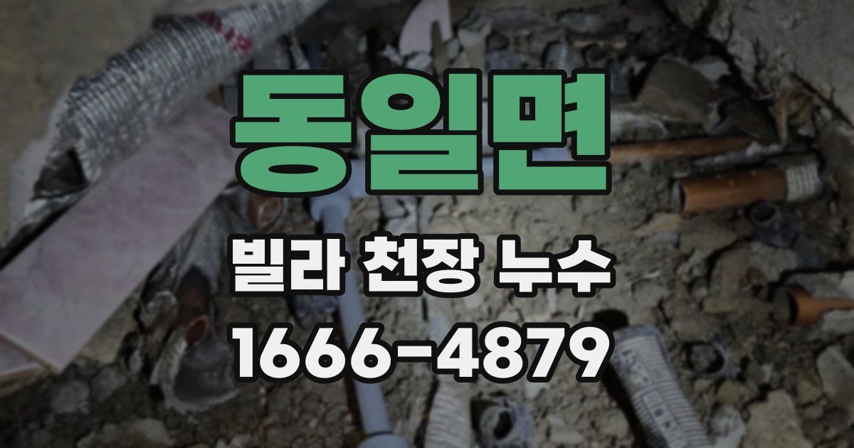 동일면 빌라 천장 누수