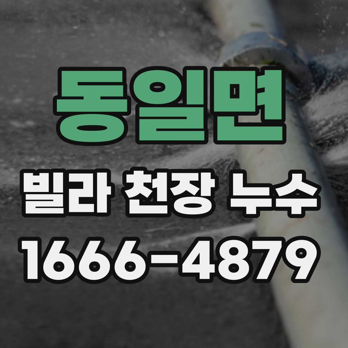 동일면 빌라 천장 누수