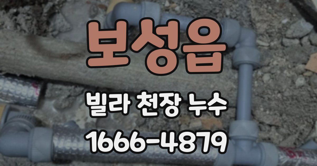 보성읍 빌라 천장 누수