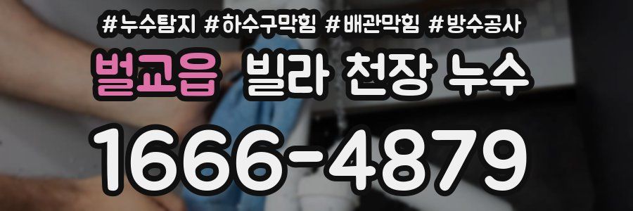 벌교읍 빌라 천장 누수