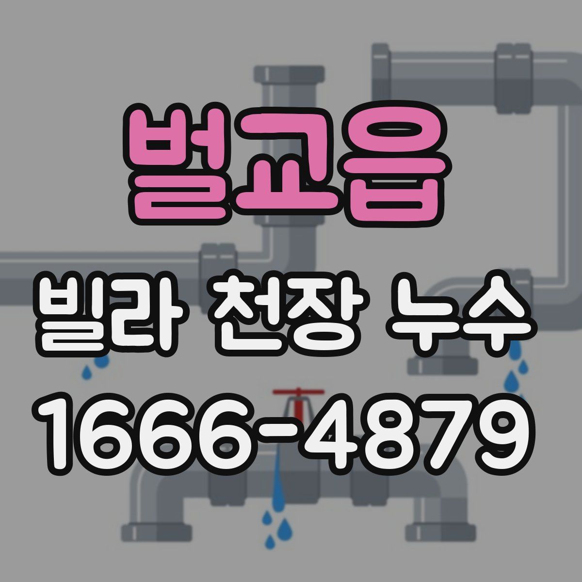 벌교읍 빌라 천장 누수
