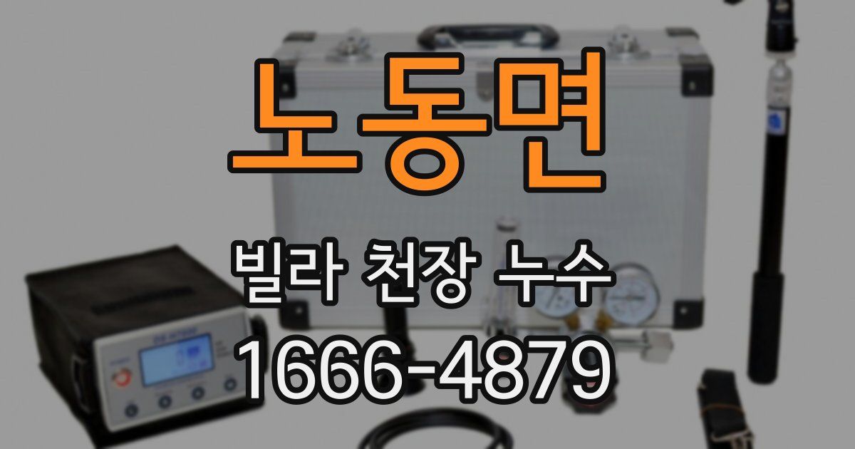 노동면 빌라 천장 누수