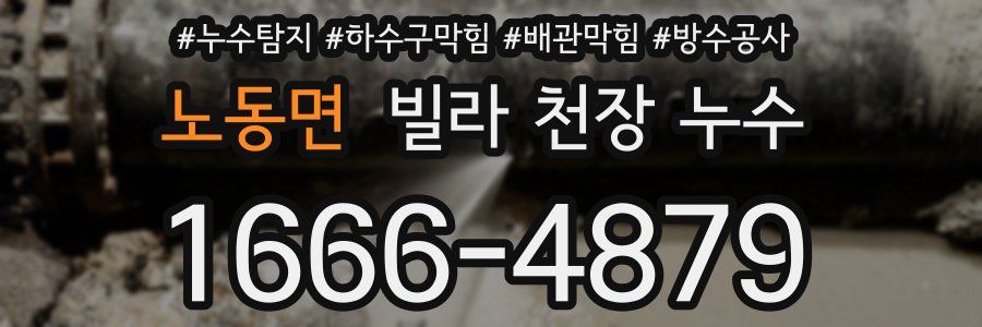 노동면 빌라 천장 누수
