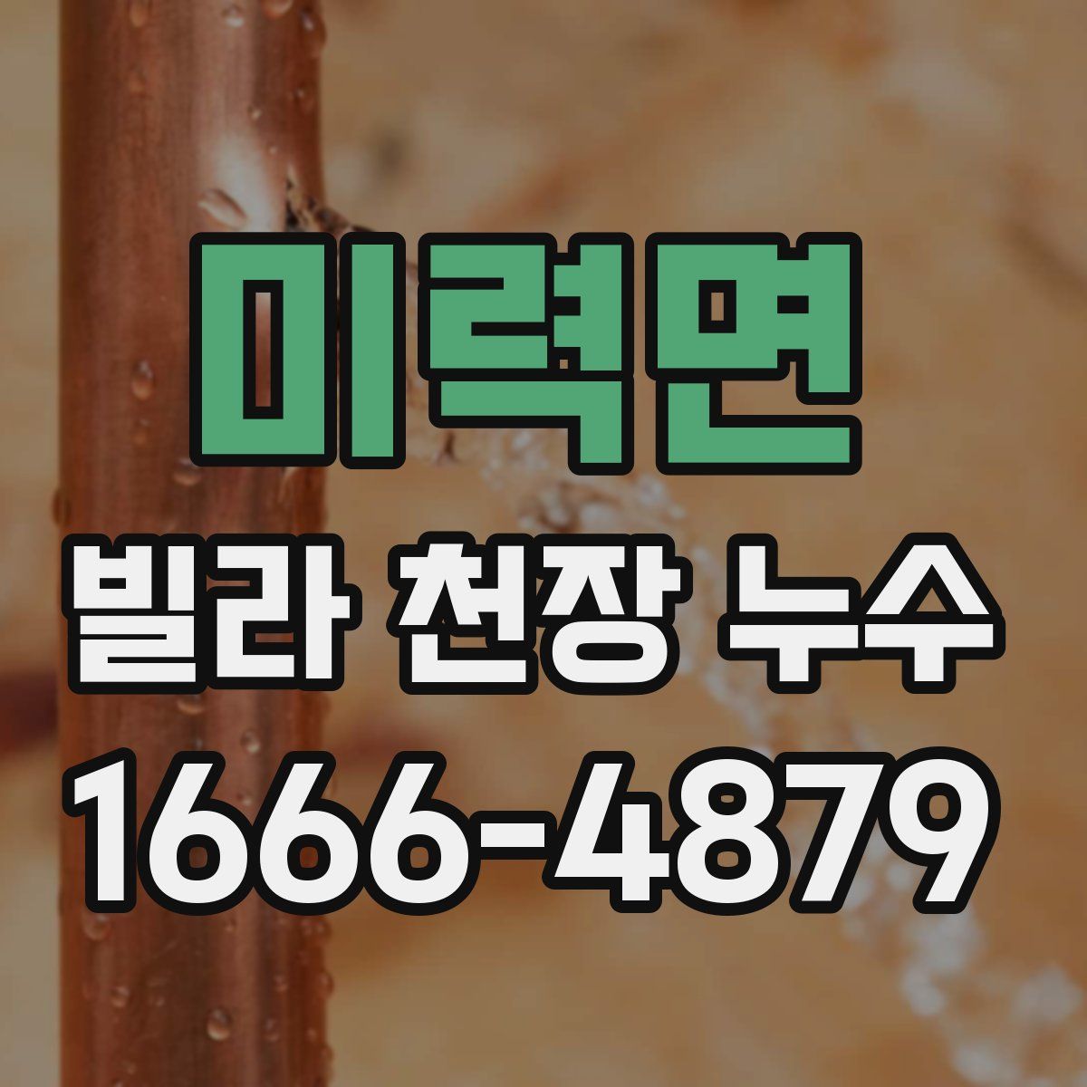 미력면 빌라 천장 누수