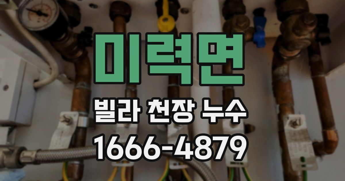 미력면 빌라 천장 누수