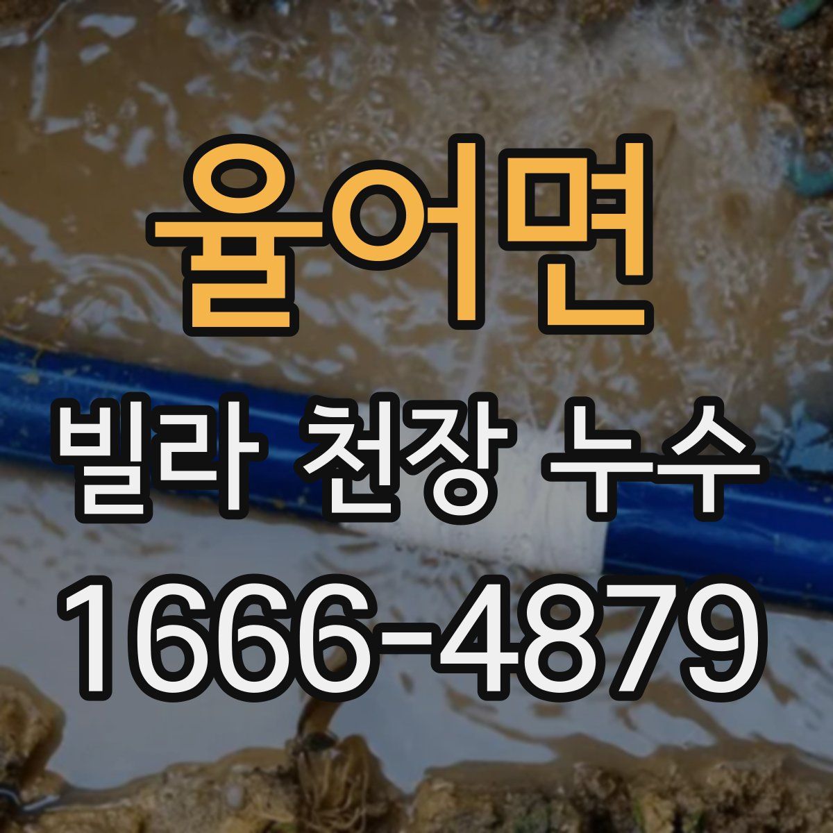 율어면 빌라 천장 누수
