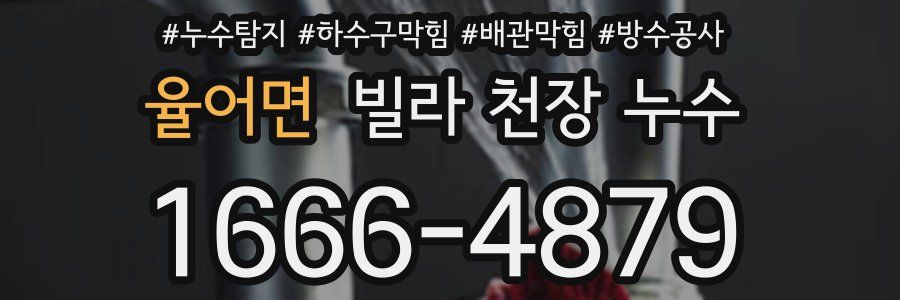 율어면 빌라 천장 누수
