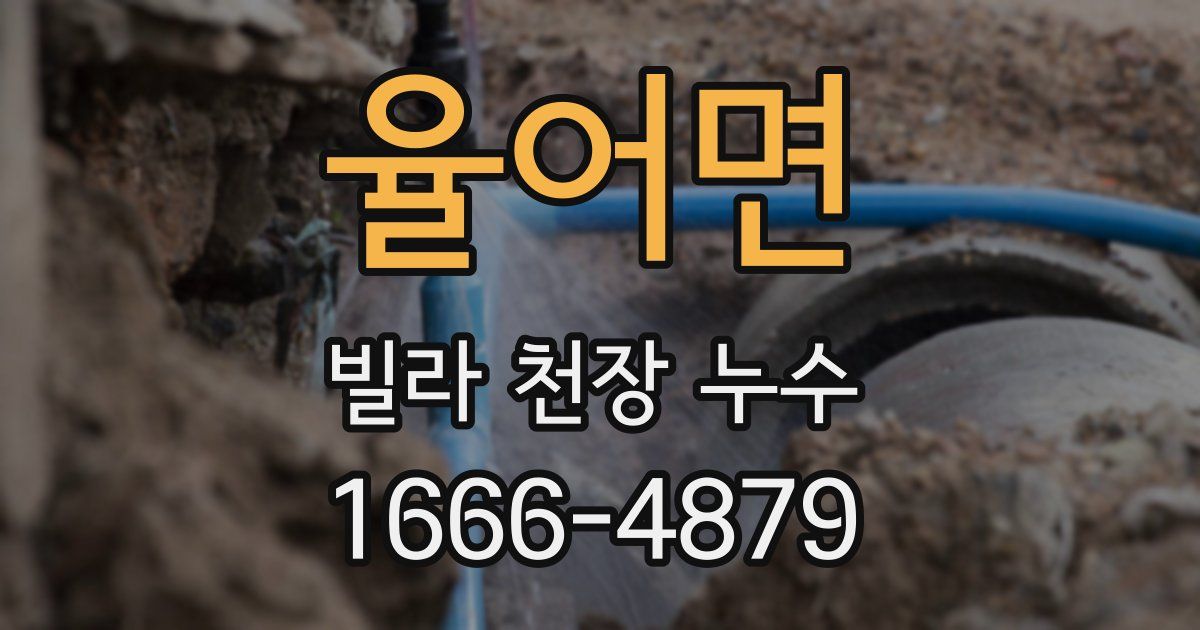 율어면 빌라 천장 누수