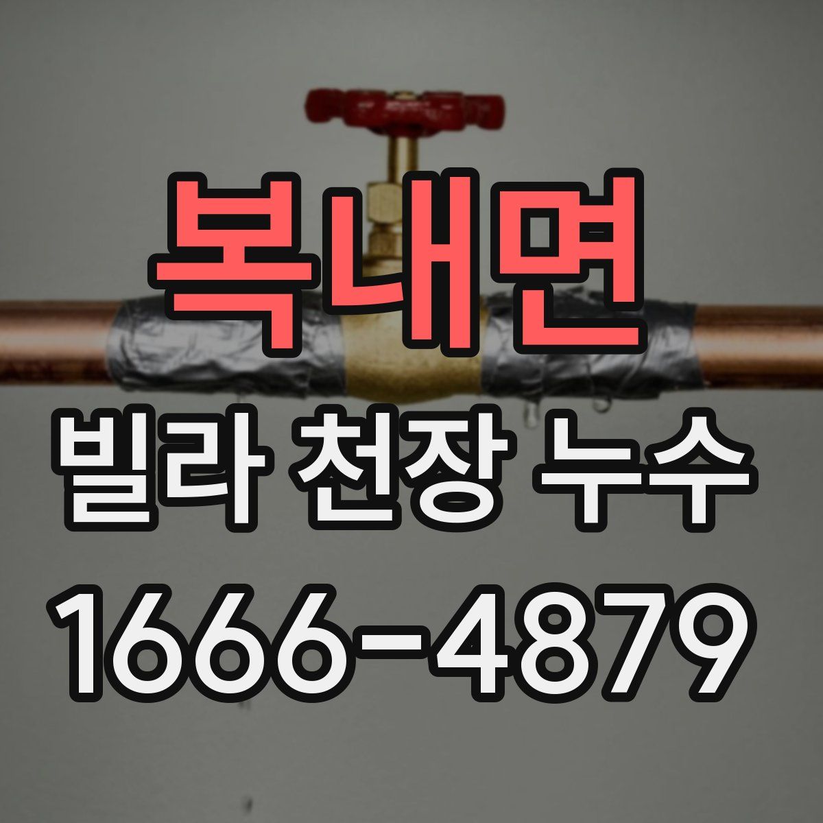 복내면 빌라 천장 누수