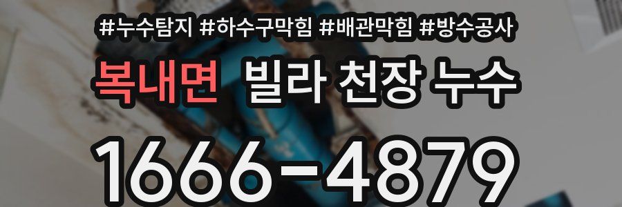 복내면 빌라 천장 누수