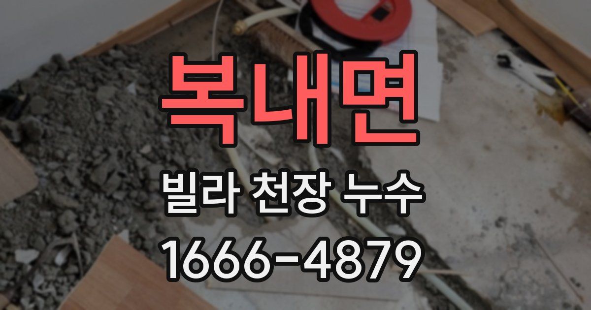 복내면 빌라 천장 누수