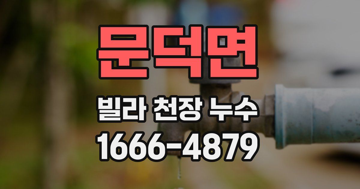 문덕면 빌라 천장 누수