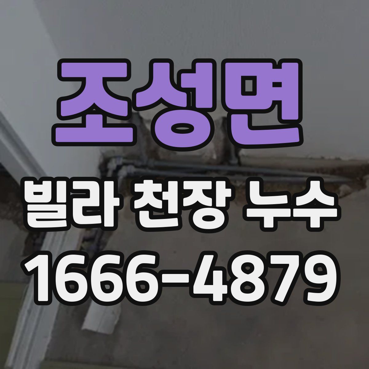 조성면 빌라 천장 누수