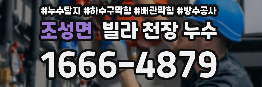 조성면 빌라 천장 누수