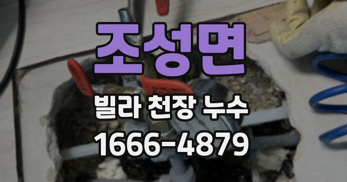 조성면 빌라 천장 누수