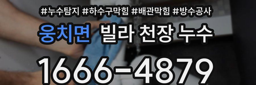 웅치면 빌라 천장 누수