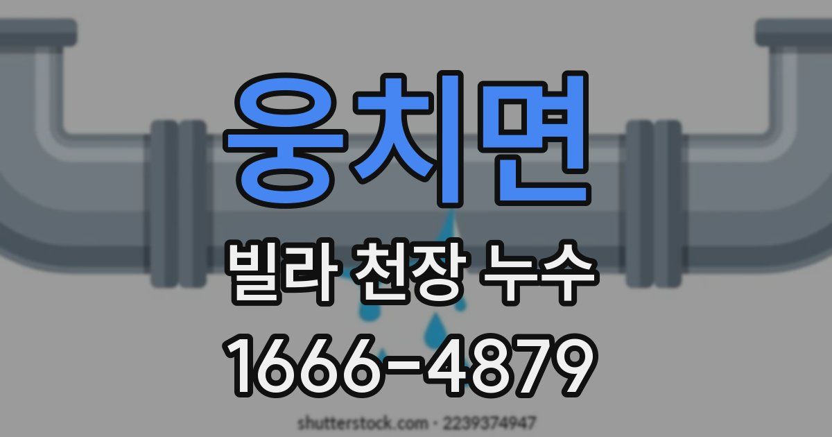 웅치면 빌라 천장 누수
