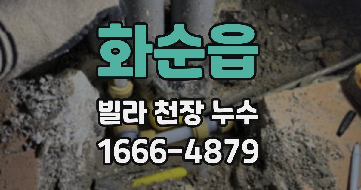 화순읍 빌라 천장 누수