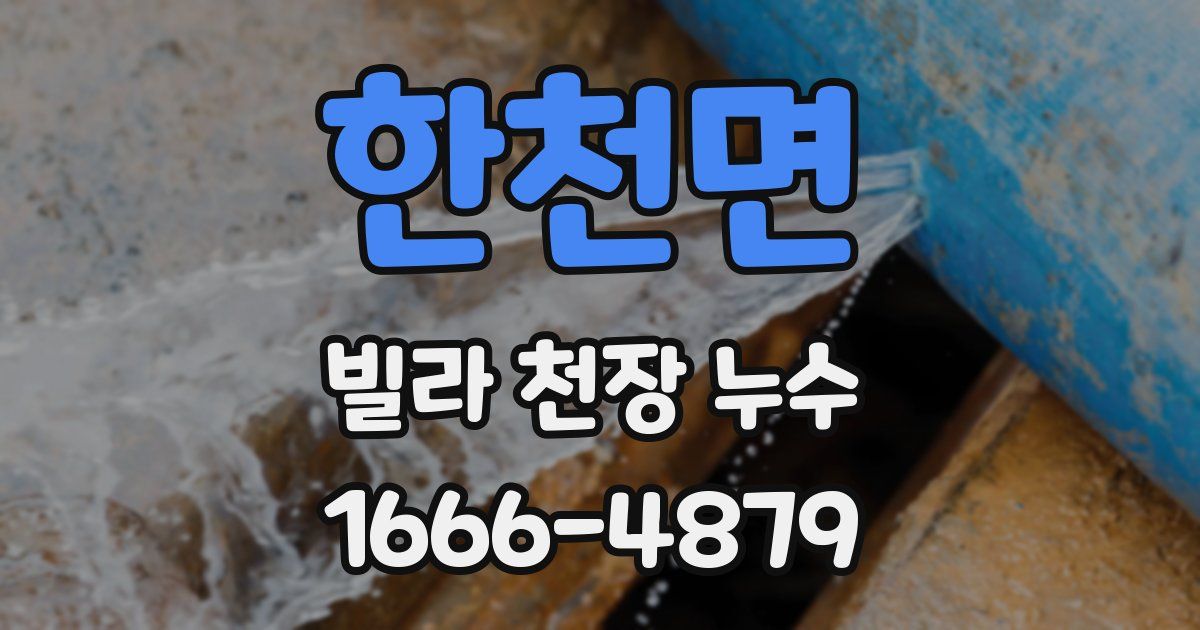 한천면 빌라 천장 누수