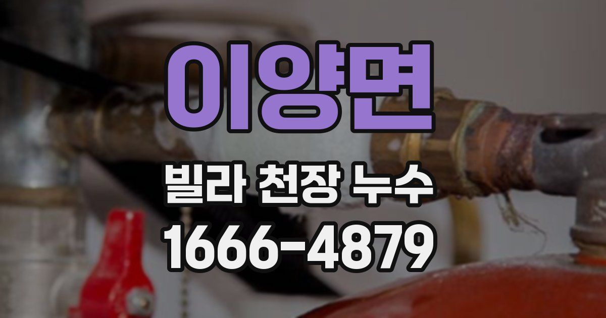 이양면 빌라 천장 누수