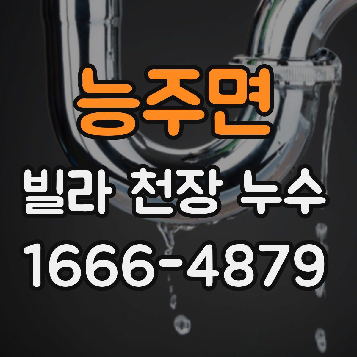 능주면 빌라 천장 누수