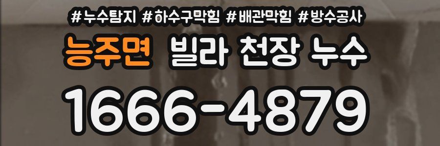능주면 빌라 천장 누수