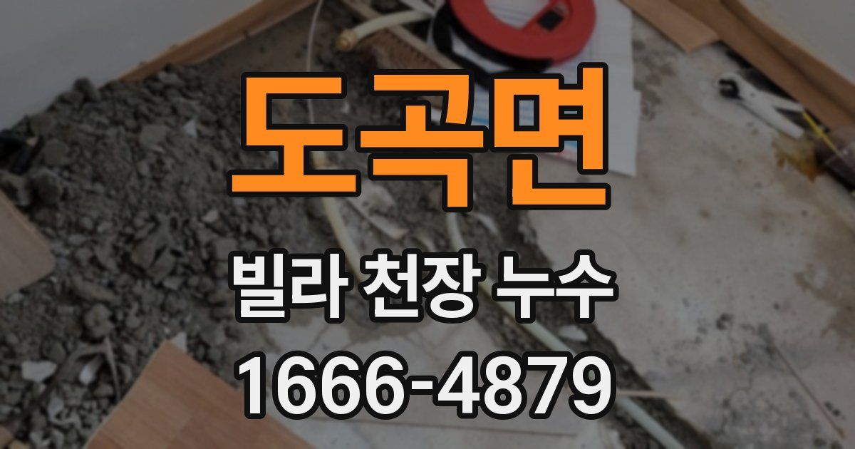 도곡면 빌라 천장 누수