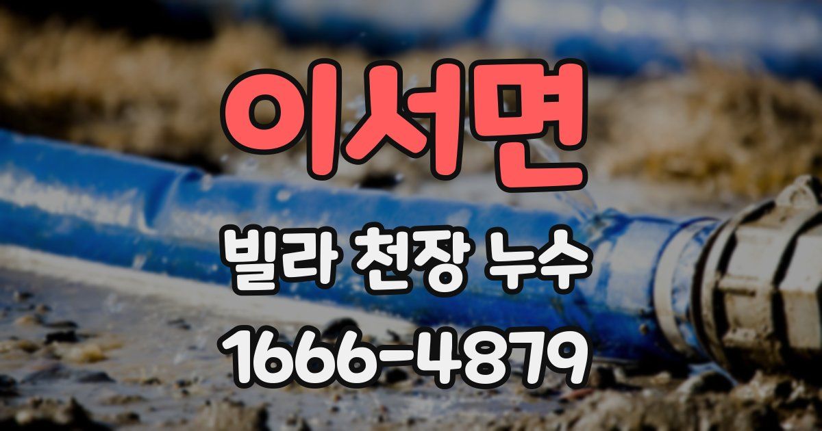 이서면 빌라 천장 누수