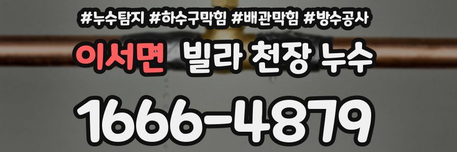 이서면 빌라 천장 누수