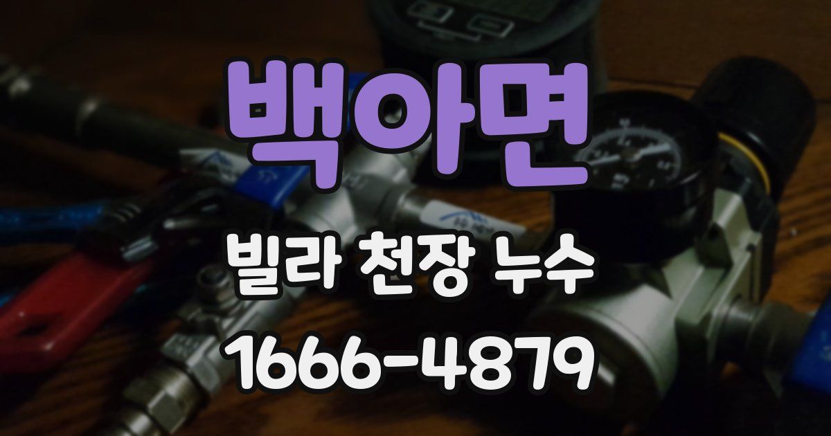 백아면 빌라 천장 누수